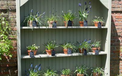 Create Your Own Outdoor Paradise
