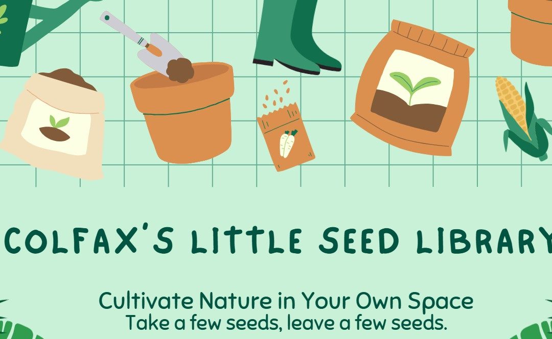 Gardening illustrations promoting Colfax's Little Seed Library.