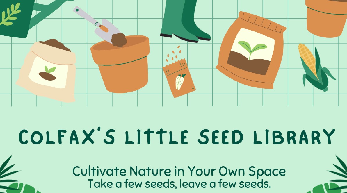 Gardening illustrations promoting Colfax's Little Seed Library.